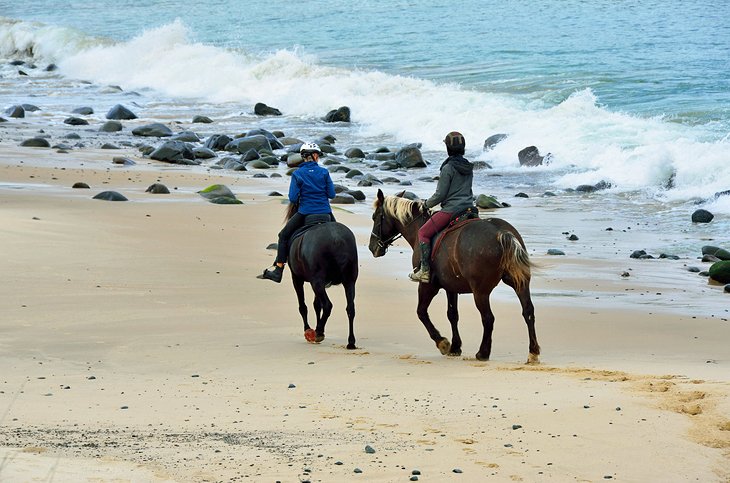 沿着海滩骑马
