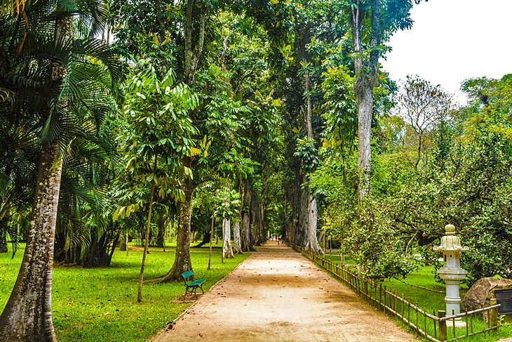 Jardim Botanico(植物园)