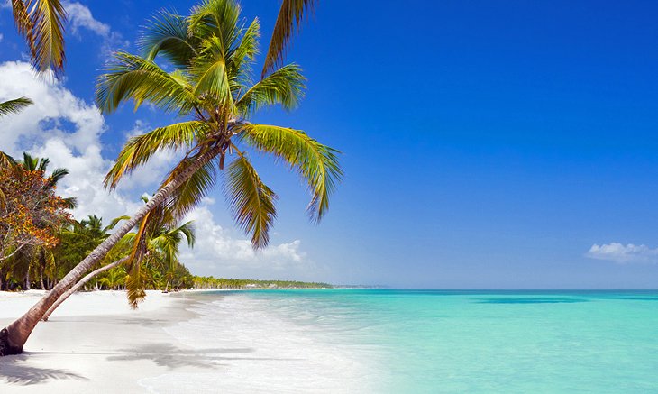 事海滩,多米尼加共和国蓬迦南