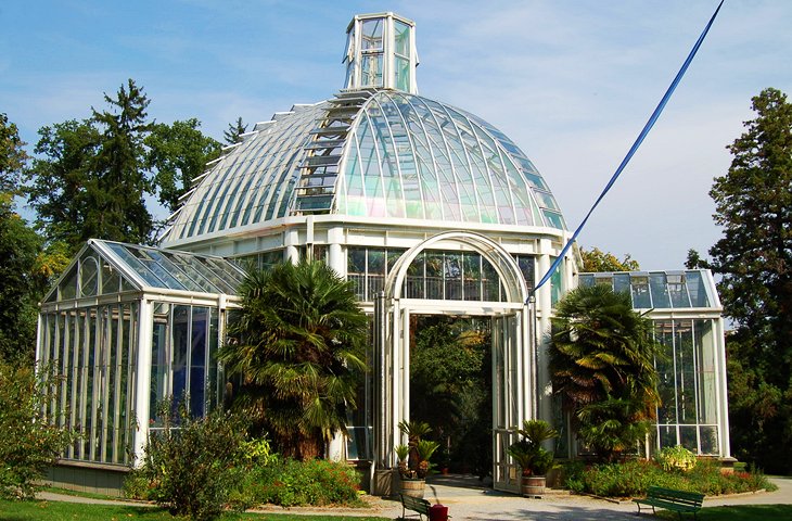 植物园(garden Botanique)