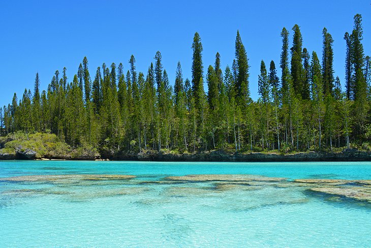 松树岛，新喀里多尼亚