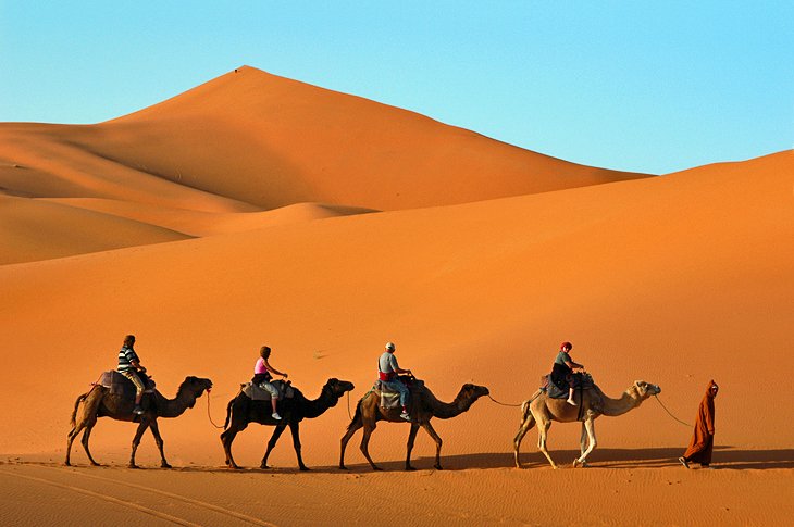 骆驼在Erg切比徒步旅行