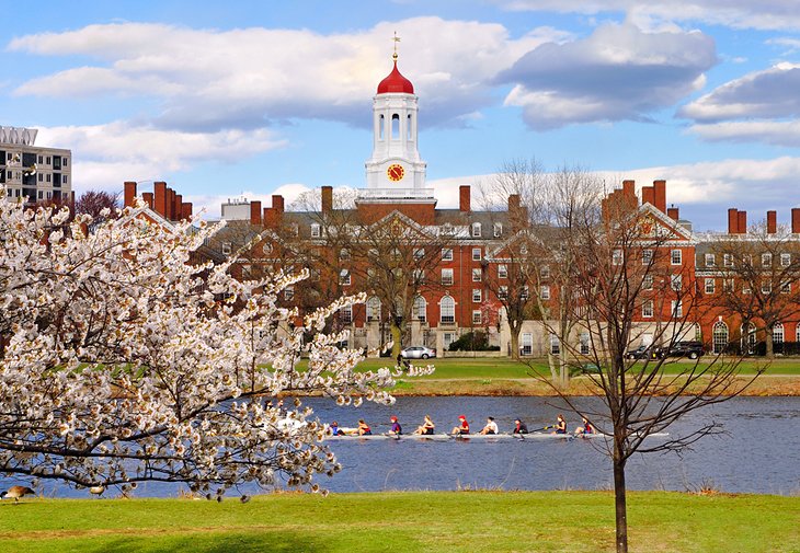 哈佛在春天