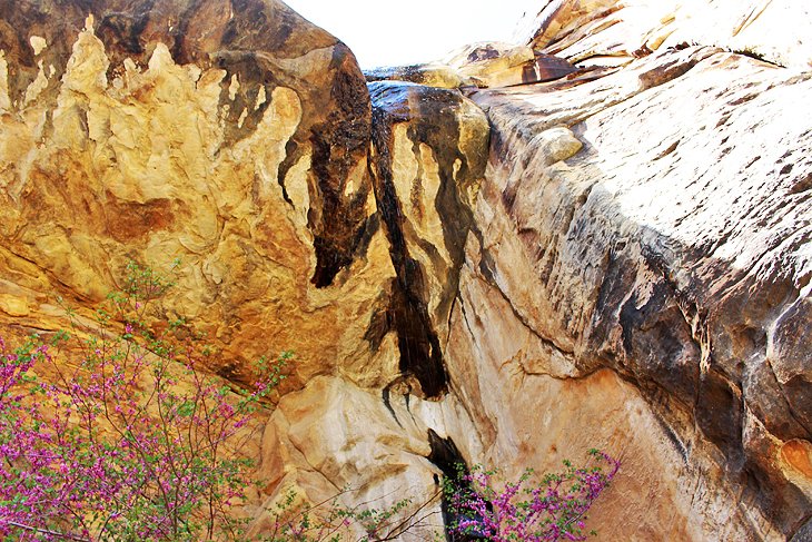 失落的峡谷——儿童探索之路