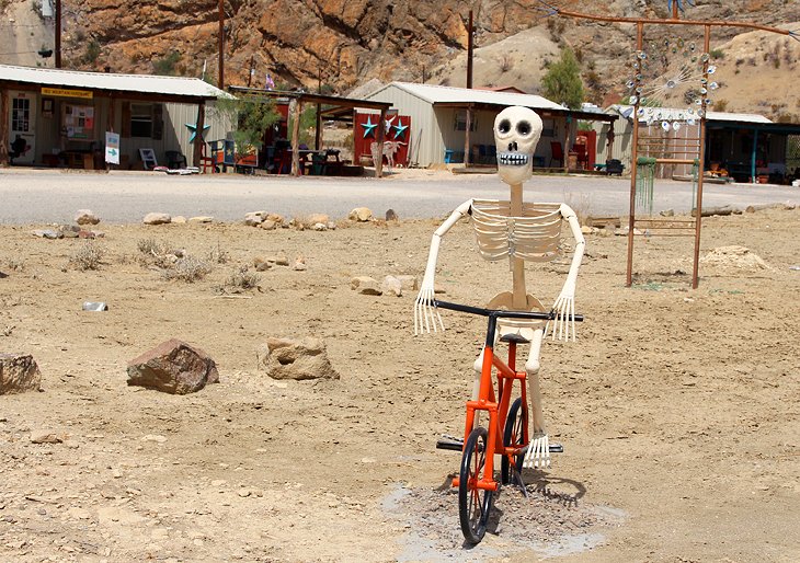 Terlingua自行车上的骷髅