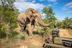 非洲最好的13个野生动物保护区