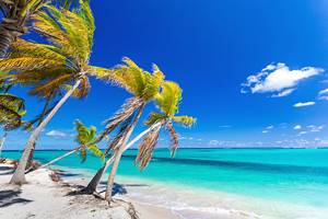 12安圭拉岛最好的海滩