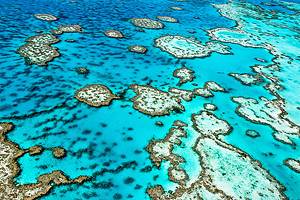 参观大堡礁:11个顶级景点和要做的事情