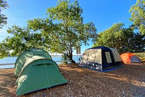 12个最好的露营地和商队在阳光海岸公园