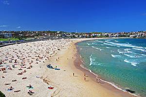 澳大利亚悉尼的15个顶级海滩