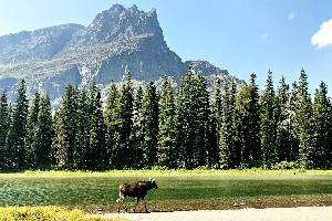 蒙大拿州14个最受欢迎的旅游景点