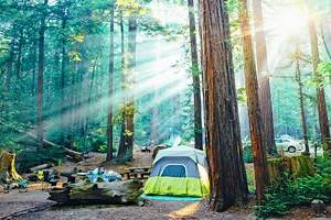 15个顶级露营地附近的大苏尔&普费弗大苏尔州立公园,CA