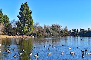 13个最好的公园在弗雷斯诺,CA