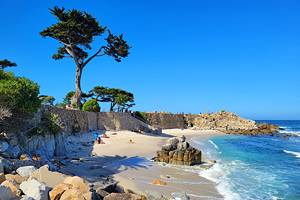 加利福尼亚州蒙特雷的12个最佳海滩