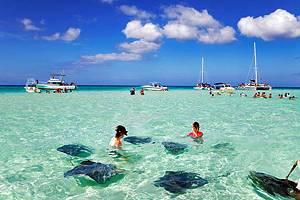 16在开曼群岛最受欢迎的旅游景点