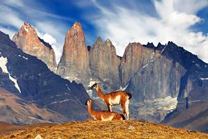 智利13条最佳徒步旅行路线