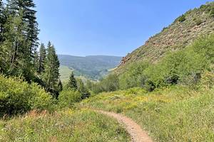 科罗拉多州韦尔的10个最佳徒步旅行地点