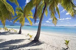 14在库克群岛最受欢迎的旅游景点