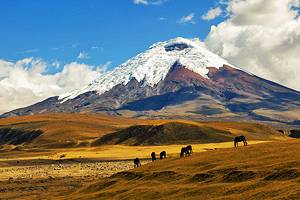 厄瓜多尔的10个最受欢迎的旅游景点