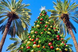 佛罗里达州14个最棒的圣诞小镇