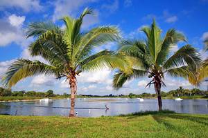 佛罗里达州椰子溪12件值得一做的事