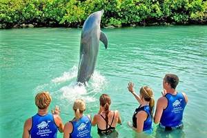 12个最受家庭欢迎的佛罗里达群岛度假村