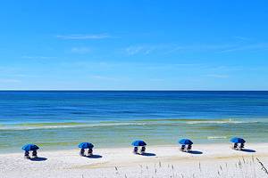 佛罗里达州海滨最值得做的10件事