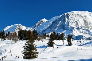 在法国滑雪的斜坡