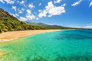 14在毛伊岛最受欢迎的海滩