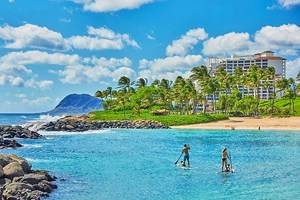 12个顶级家族在夏威夷度假
