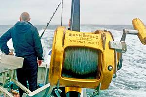 大西洋蓝鳍金枪鱼和沿海渔业在爱尔兰