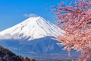 探索富士山:游客的导游