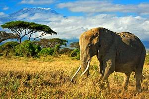 肯尼亚16个顶级旅游景点