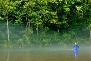 15个顶级钓鳟鱼湖泊和河流在密苏里州