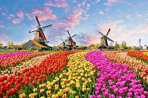 图片中的荷兰:20个美丽的地方