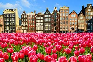 荷兰排名最高的14个城市