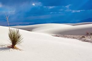 新墨西哥州的17个顶级旅游景点