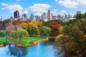 参观纽约中央公园:14个顶级景点