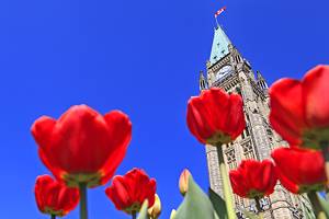呆在渥太华的地方:最好的地区和酒店吗