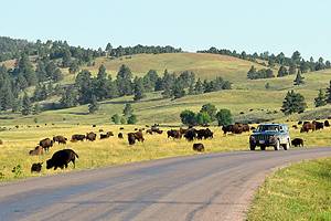 南达科他州最好的11个国家和州立公园