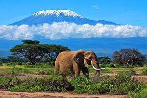 15在坦桑尼亚最受欢迎的旅游景点