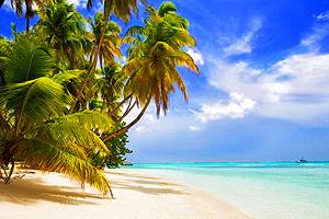 12在特立尼达和多巴哥最受欢迎的旅游景点