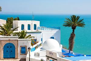 突尼斯17个最受欢迎的景点和景点