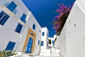 探索西迪布赛德:突尼斯风景如画的海滨郊区