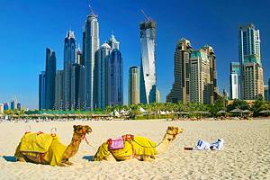 迪拜最好的海滩