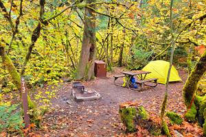 华盛顿州贝灵汉附近的9个最佳露营地
