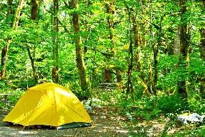 北卡斯卡德斯国家公园的14个最佳露营地