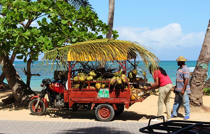 Las Terrenas椰子卖方