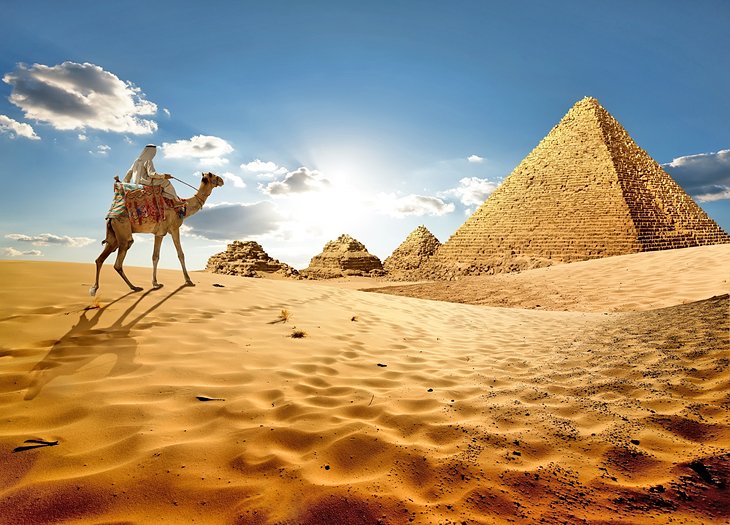 贝都因人在吉萨金字塔骑骆驼