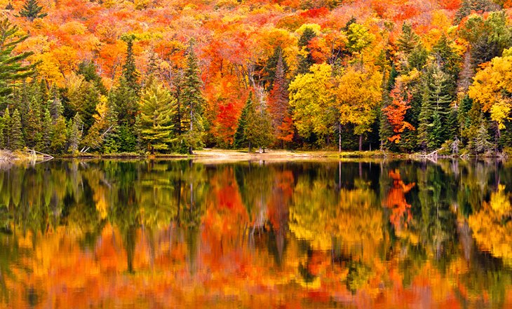 阿尔冈昆省立公园的秋天色彩